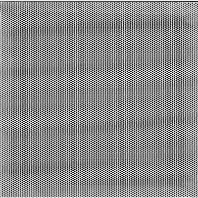 228677307.jpg