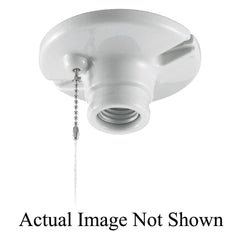228681297.jpg