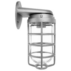 RAB LIGHTING INC RAB Lighting VBR100DG Vaporproof 100 Wall Bracket W/Glass Globe Cast Guard