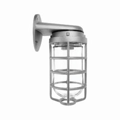 RAB LIGHTING INC RAB Lighting VBR100DG Vaporproof 100 Wall Bracket W/Glass Globe Cast Guard