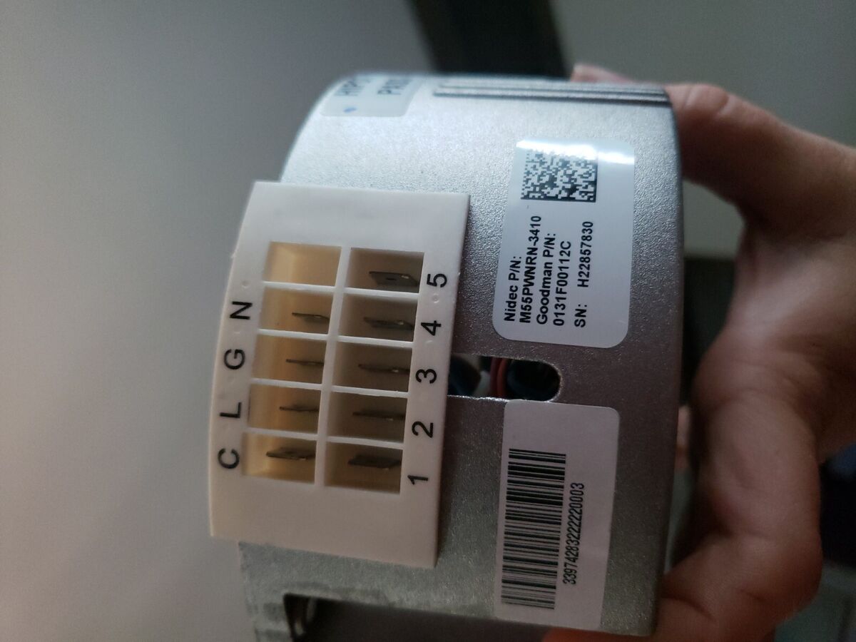 229405826.jpg
