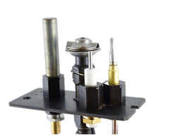 229410821.jpg
