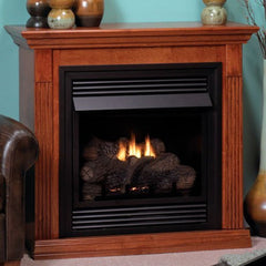 EMPIRE COMFORT SYSTEMS Empire Comfort Systems DFD26HBL Empire White Mountain Hearth Innsbrook Medium Horizon Black Front DFD26HBL