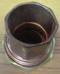 229412847.jpg