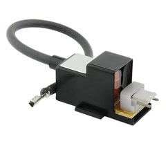 RHEEM Rheem RTG20235BC Ignitor Coil