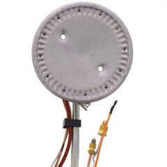 RHEEM RHEEM SP43286 Burner Assembly Kit