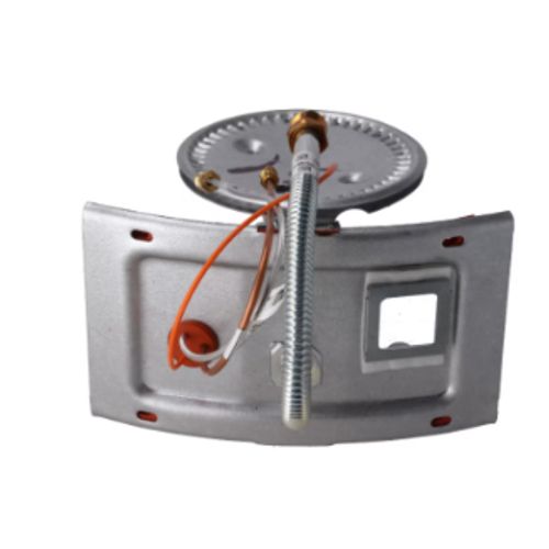 RHEEM Rheem SP44969 Burner Assembly