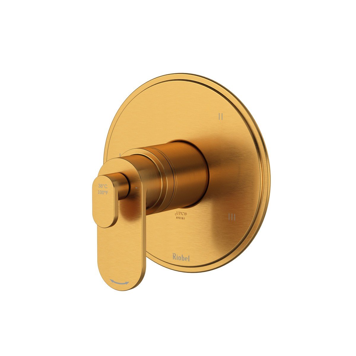ROHL ROHL TAA47BK Arca 6-Inch Thermostatic and Pressure Balance Trim Black
