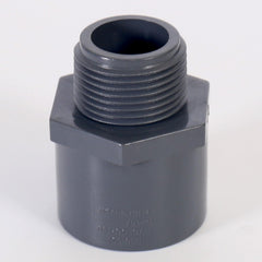 WINSTON BASICS Winston Basics 836-007 3/4 PVC Schedule 80 Male Adapter