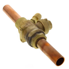 229416120.jpg