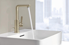 GROHE GROHE 23825ENA Lineare Single Handle Monoblock Bathroom Sink Faucet in Brushed Nickel