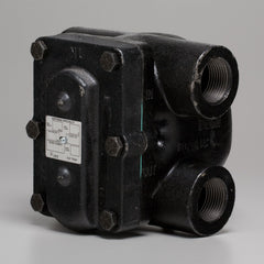 232250519.jpg