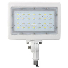 MORRIS Morris 71822A LED Small Flood Light 30W 5000K