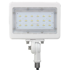 MORRIS Morris 71822A LED Small Flood Light 30W 5000K
