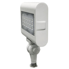 MORRIS Morris 71822A LED Small Flood Light 30W 5000K