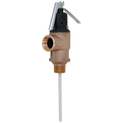 Cash Acme 23255-0125 FVMX-5C Temperature & Pressure Relief Valve 3/4 NPT 125 psi