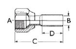 233138530.jpg