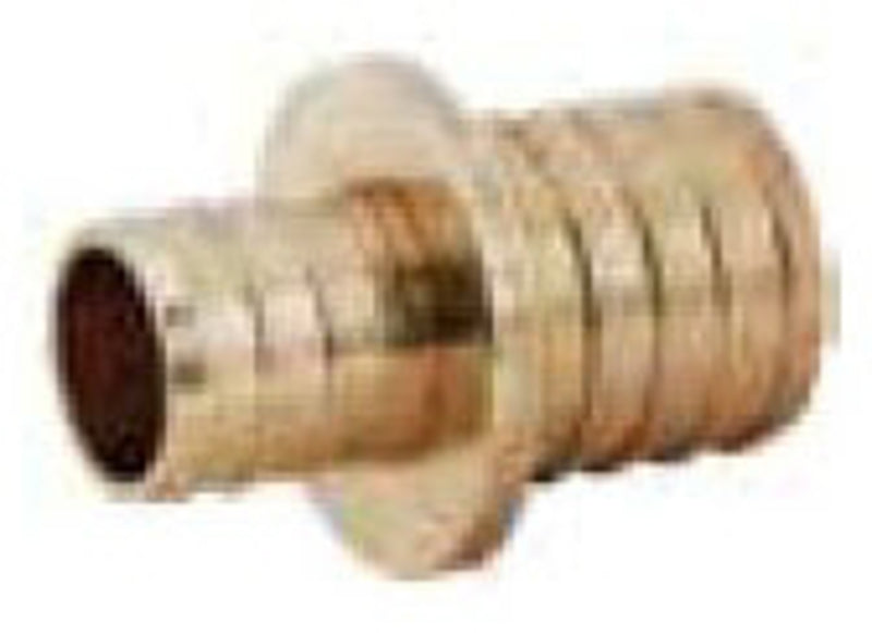 233151871.jpg