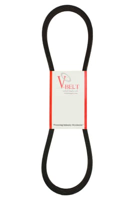 233161988.jpg