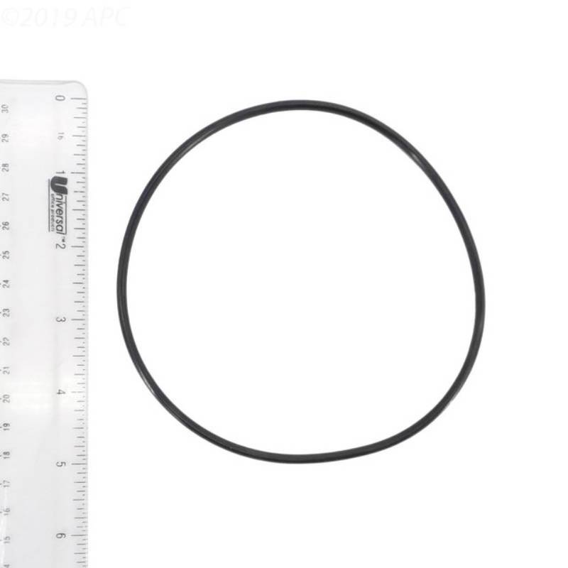 234601644.jpg