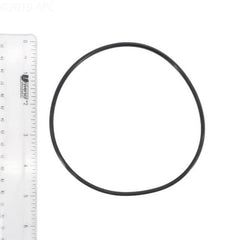 234601644.jpg
