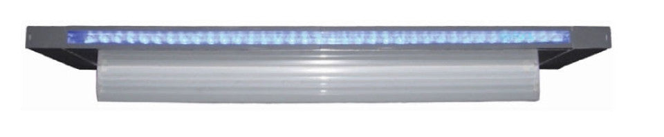 234606255.jpg