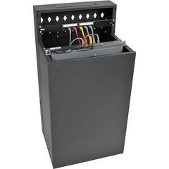TRIPP LITE BY EATON Tripp Lite SRWF12U38 SmartRack 12U Low-Profile Vertical-Mount Wall-Mount Small Server Rack Enclosure