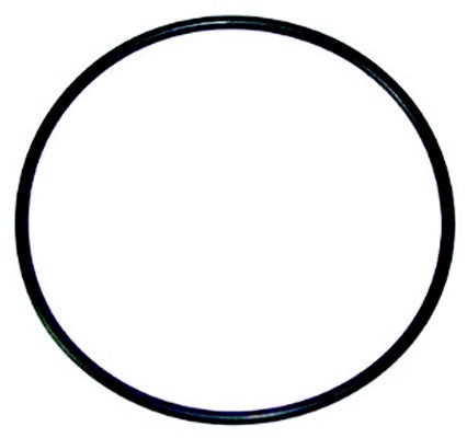 236088805.jpg