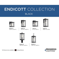 PROGRESS Progress P5610-31 Endicott Collection One-Light Medium Wall Lantern