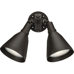 PROGRESS Progress P5203-20 Two-Light Adjustable Swivel Flood Light