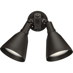 PROGRESS Progress P5203-20 Two-Light Adjustable Swivel Flood Light