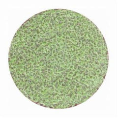 NORTON Norton 66623319003 Metal Aluminum Oxide Coarse Grit TS Type II Quick-Change Cloth Disc