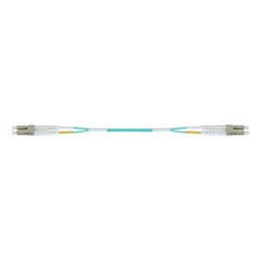 236107931.jpg