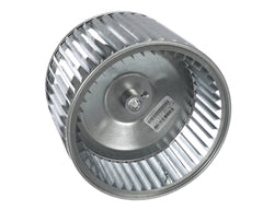 236109986.jpg