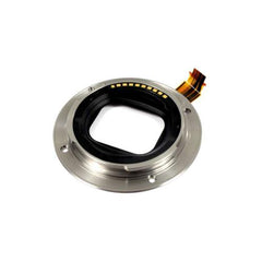 237573990.jpg