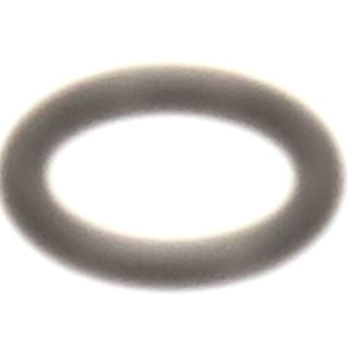 237946205.jpg
