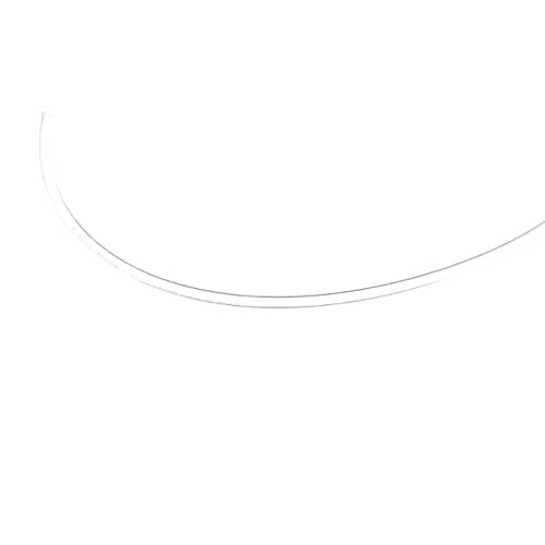 237948754.jpg