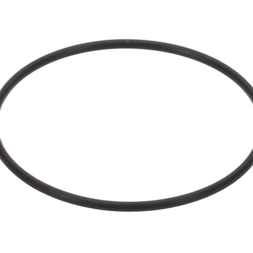 237950479.jpg