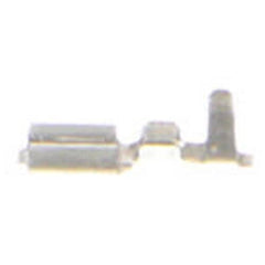 237955165.jpg