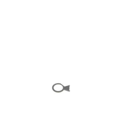 237956240.jpg