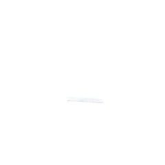 237956520.jpg
