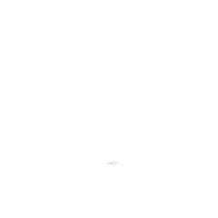 237956563.jpg