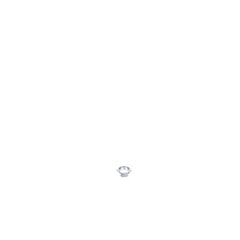 237956828.jpg