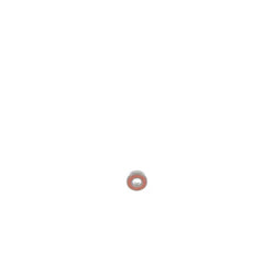 237956921.jpg
