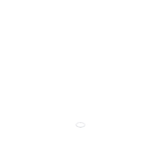 237957005.jpg