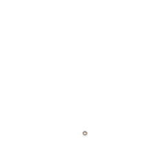 237957305.jpg