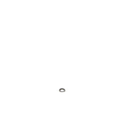 237957325.jpg