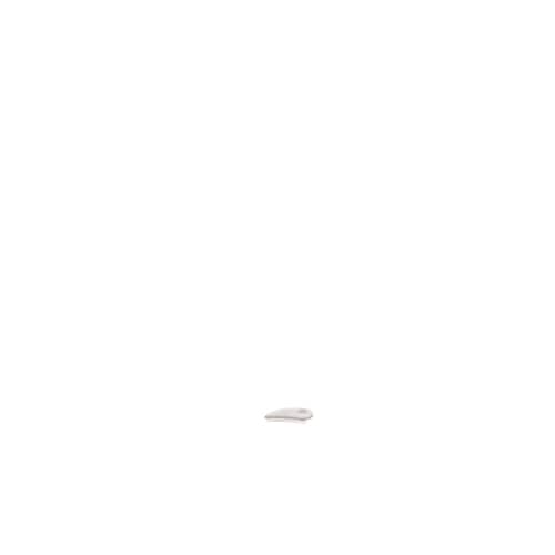 237957390.jpg
