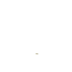 237957755.jpg