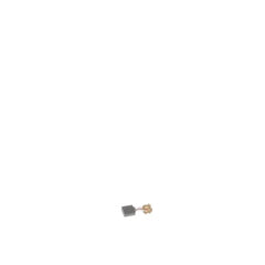 237958020.jpg